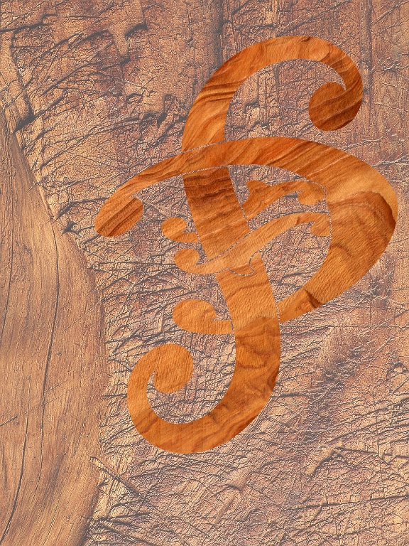 Web-site Logo wood grain.jpg - VD B9